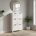 Premium Shoe Storage Cabinet
